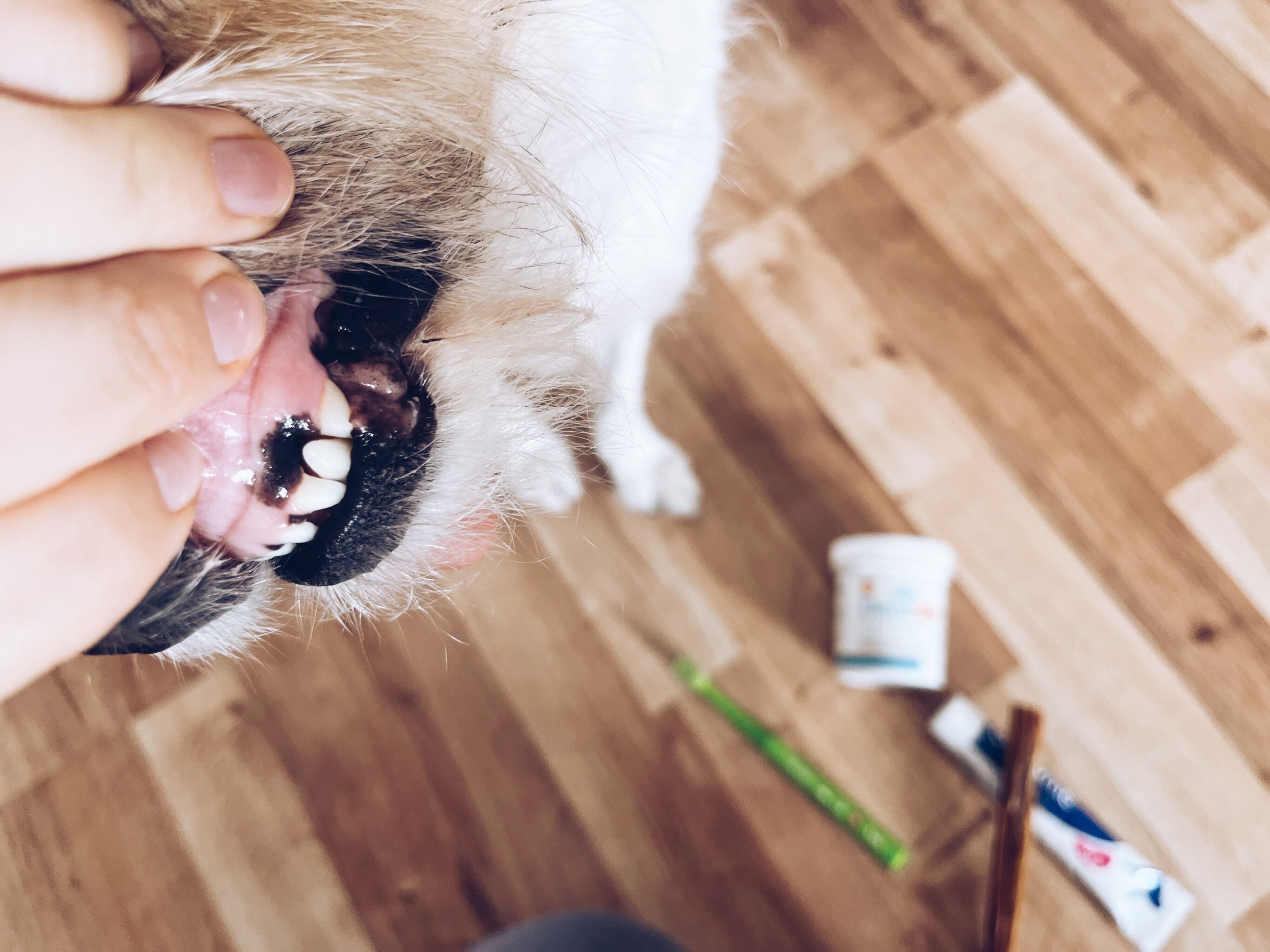 FullSizeRender_VSCO (8)